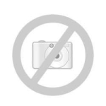 Fortune Tiger Exemplo